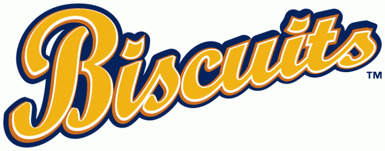 Montgomery Biscuits 2009-Pres Wordmark Logo iron on transfers for T-shirts